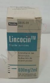 SS Lincocin Injectable*